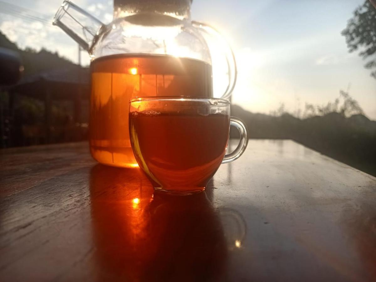 Long Co Tran - Homestay&Tea Ceremony Loung Co Exteriör bild